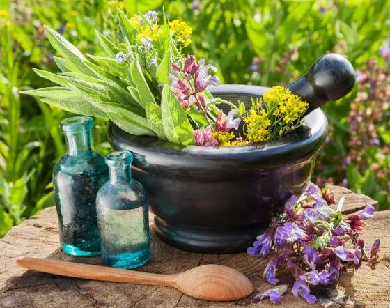 Herbs